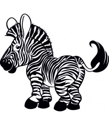 Pui de zebra