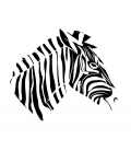 Cap de zebra - abtibild de perete